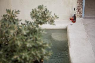 A bottle of wine and a plant beside a pool showcasing a serene setting in oia santorini with private hot tub and veranda hu6542738314267874175.jpg